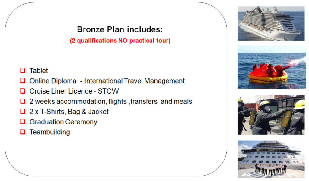 Bronze-Plan-1024x602   